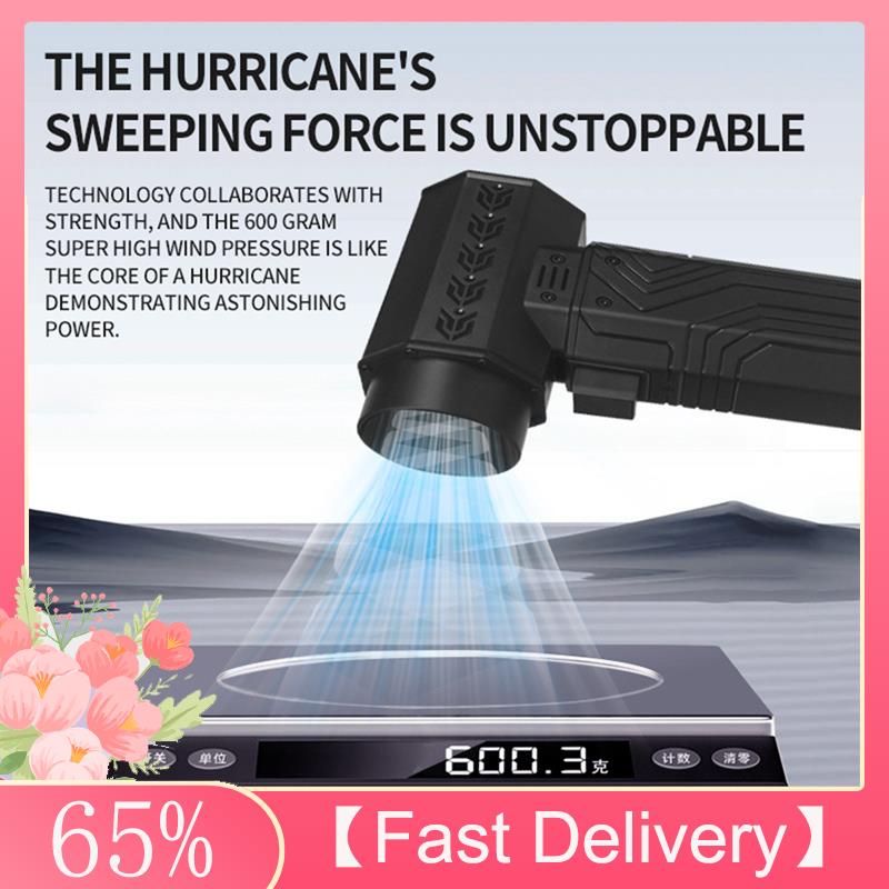 ~Latest Model Mini Violent Fan - Dryer Car Blower review and price
